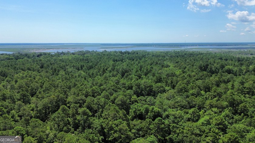 Build your dream home on this beautiful 1.9 acre unimproved lot - photo 18