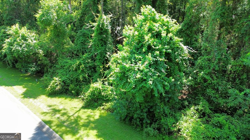 Build your dream home on this beautiful 1.9 acre unimproved lot - photo 19