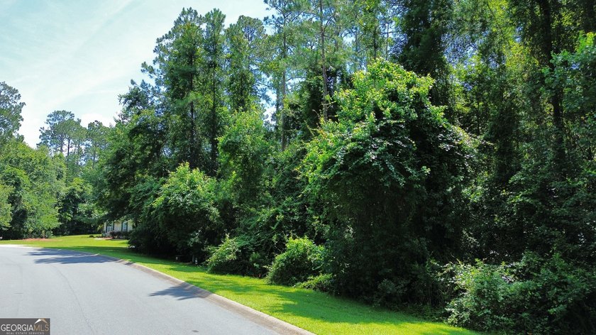 Build your dream home on this beautiful 1.9 acre unimproved lot - photo 21
