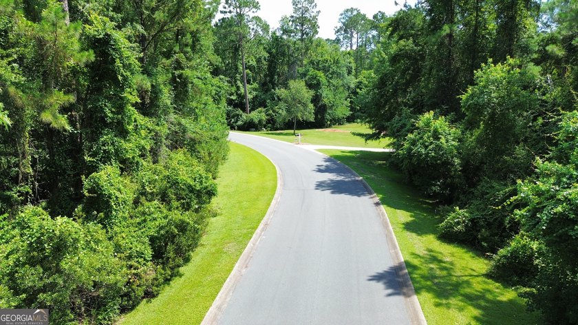Build your dream home on this beautiful 1.9 acre unimproved lot - photo 24