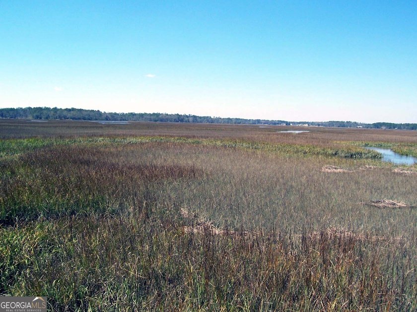Build your dream home on this beautiful 1.9 acre unimproved lot - photo 33