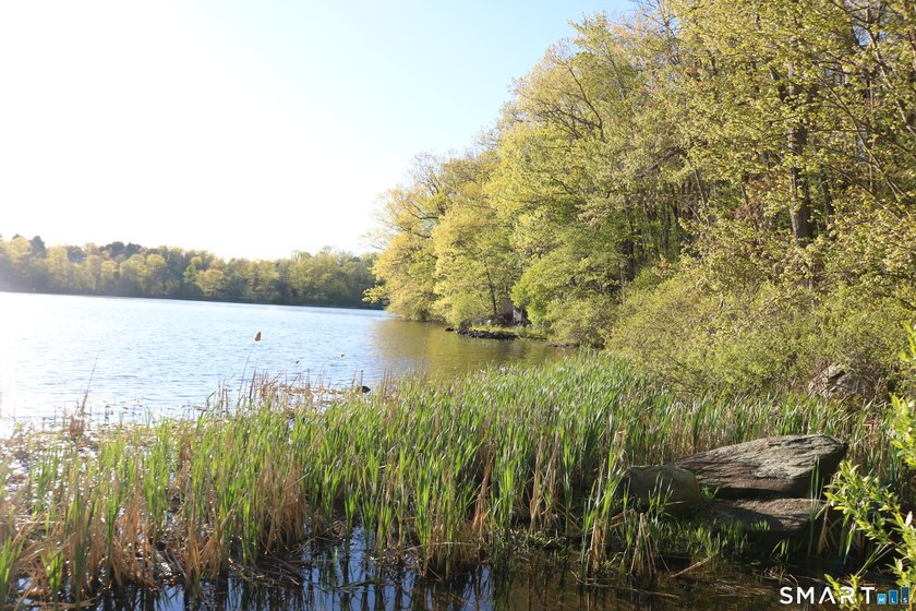 Enjoy the serenity of an *on golden pond* setting with this - photo 5