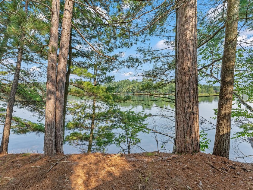 Here's your chance to own a part of Minocqua Chain history - photo 42