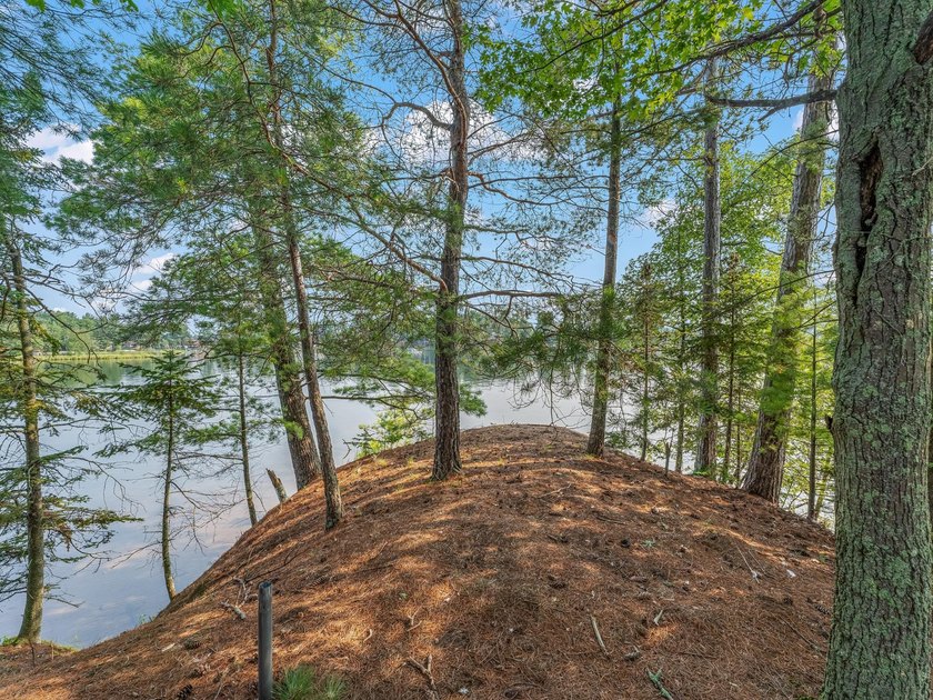 Here's your chance to own a part of Minocqua Chain history - photo 44