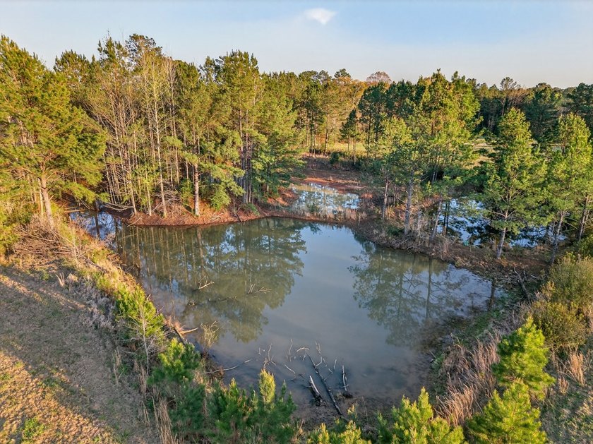 Welcome to your private country retreat on 26 beautiful acres! - photo 28