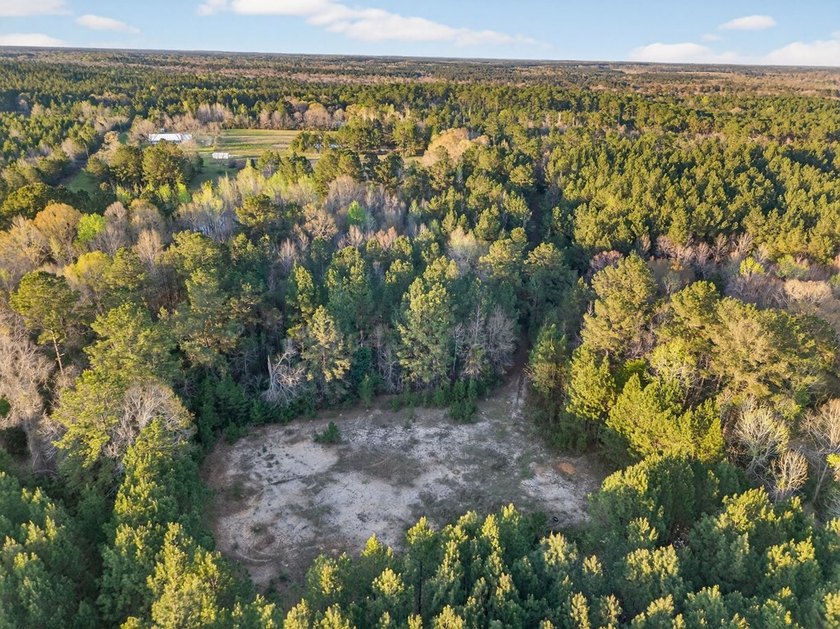 Welcome to your private country retreat on 26 beautiful acres! - photo 45
