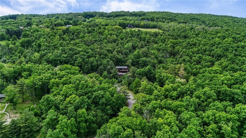 Experience the beauty of the Finger Lakes from this exceptional - photo 50