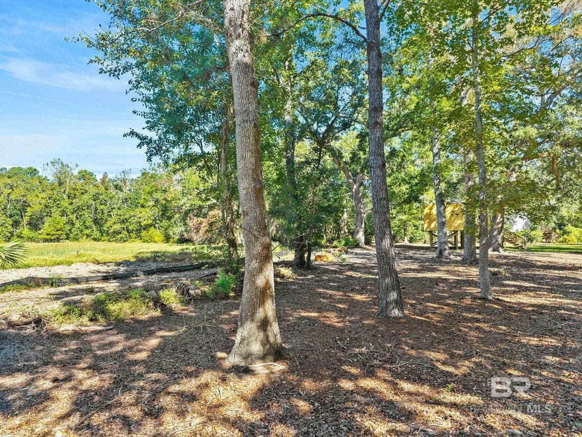 Partially cleared lot, located on the southern end of County - photo 11
