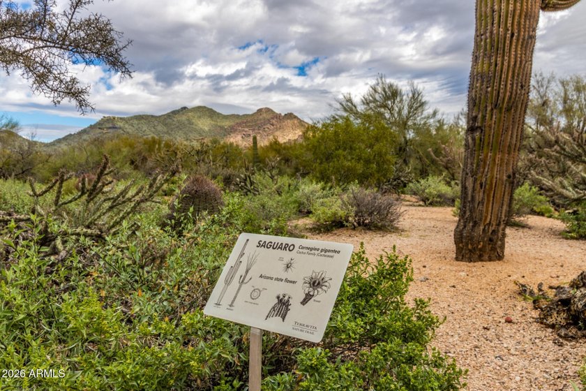 Rare opportunity in Terravita! Set within one of the community's - photo 41