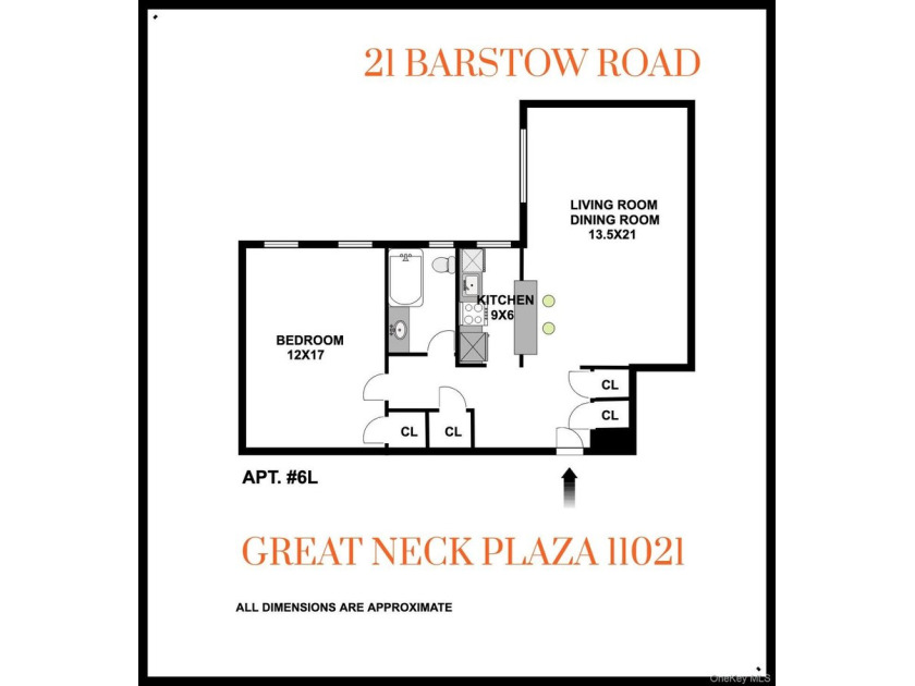 GREAT NECK PLAZA - Welcome to THE WINDSOR @ 21 Barstow Road // - photo 21