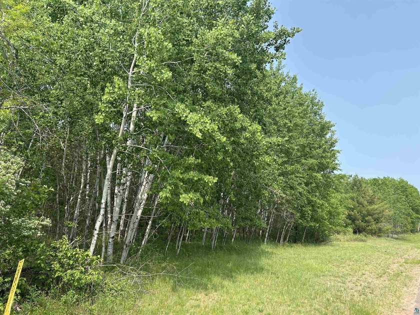 1.26 Acre building site in Iron River! Nestle your new home amid - photo 12