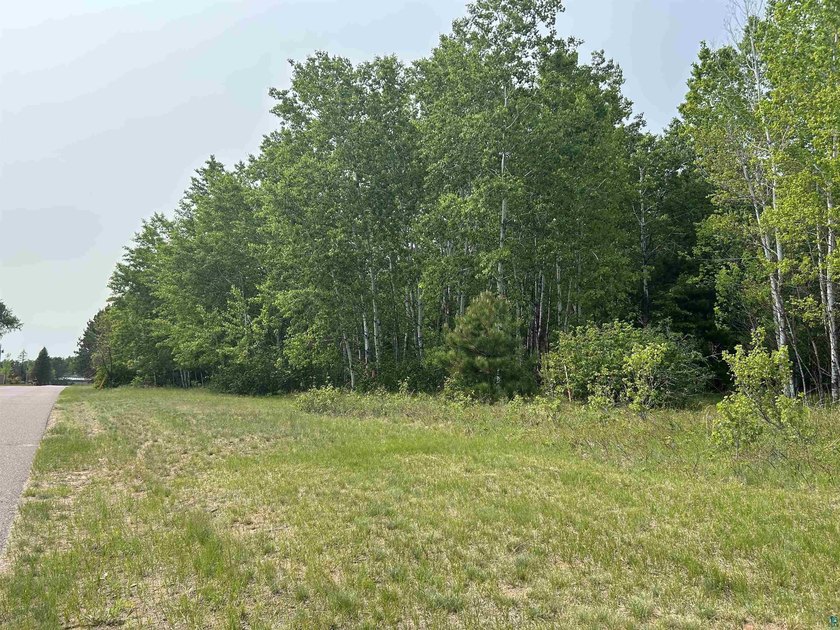 1.26 Acre building site in Iron River! Nestle your new home amid - photo 15