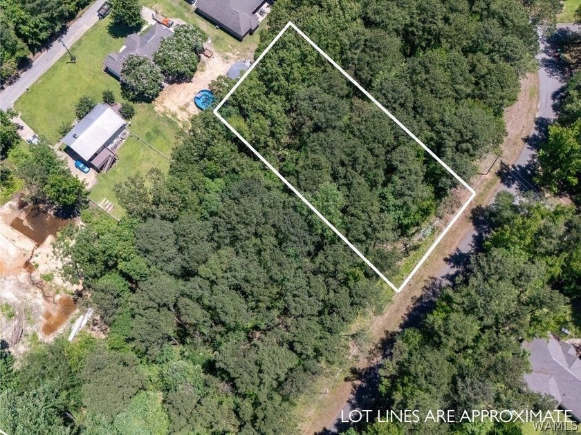 Build your dream home on this beautiful lot in Northport, just - photo 2