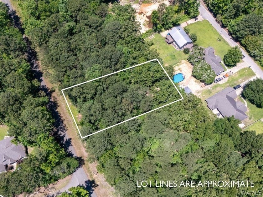 Build your dream home on this beautiful lot in Northport, just - photo 5