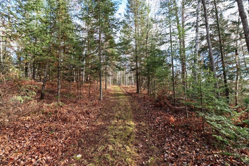 Escape to the ultimate log home sanctuary on nearly 75 pristine - photo 30