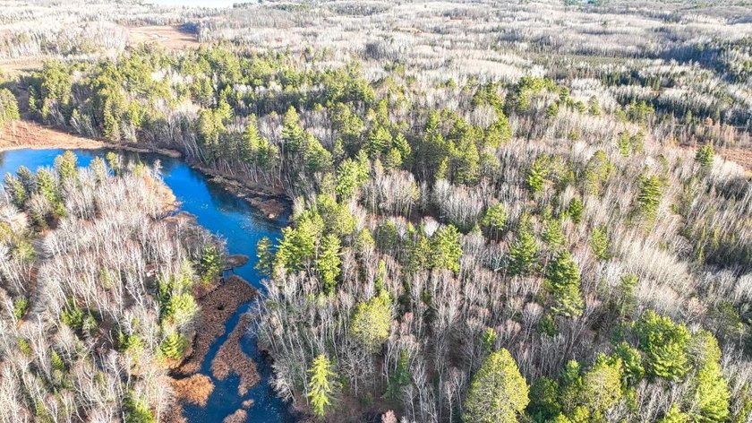 Escape to the ultimate log home sanctuary on nearly 75 pristine - photo 34