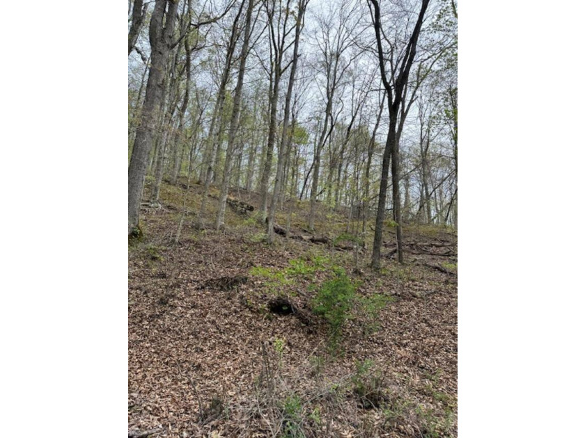REDUCED: TAKE A LOOK AT THIS STEAL OF A DEAL...ATT: HUNTERS-$79 - photo 2