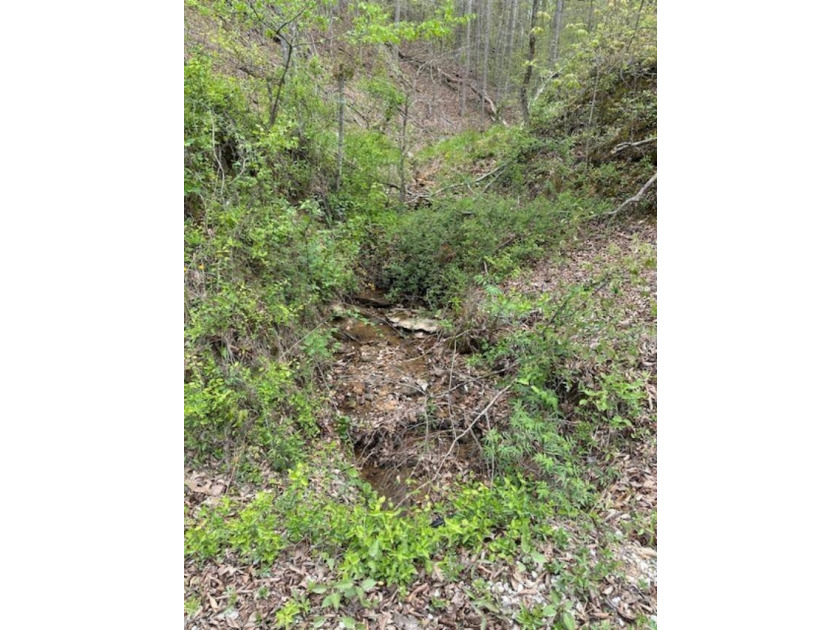 REDUCED: TAKE A LOOK AT THIS STEAL OF A DEAL...ATT: HUNTERS-$79 - photo 8