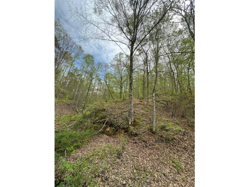REDUCED: TAKE A LOOK AT THIS STEAL OF A DEAL...ATT: HUNTERS-$79 - photo 9