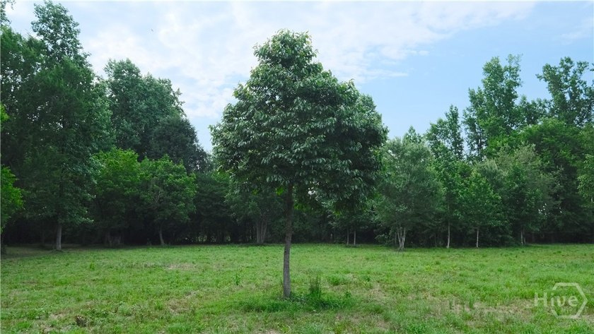 Tucked away on over 15 private acres in highly sought after - photo 11