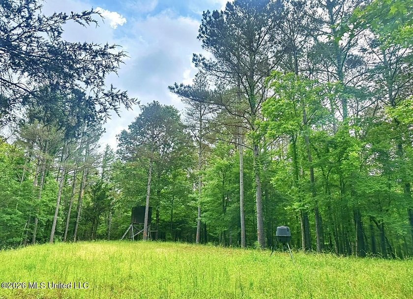 This 93+/- acre Holmes County property is uniquely laid out in - photo 12