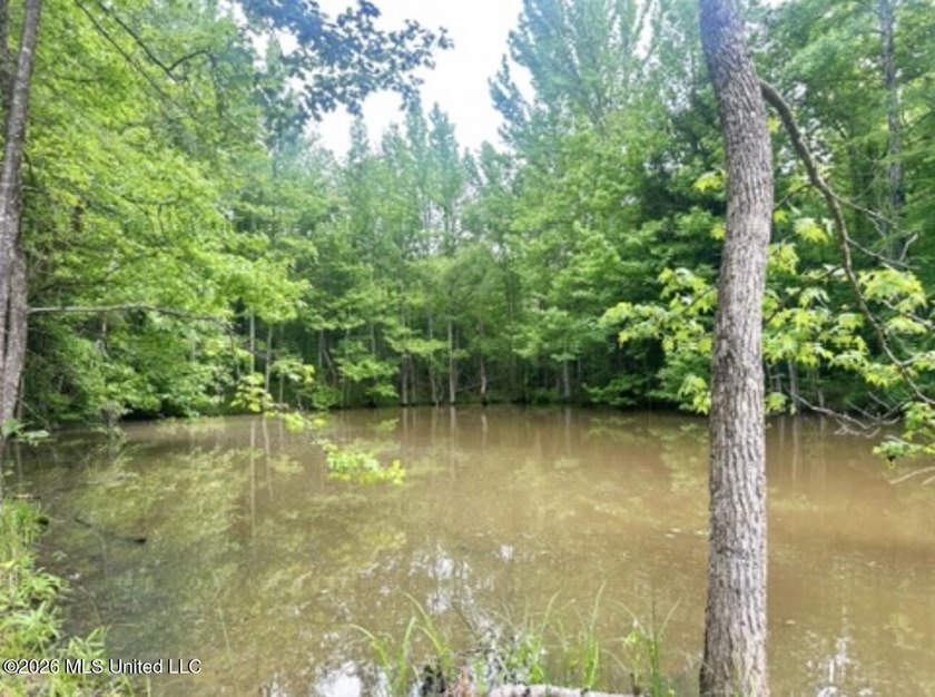 This 93+/- acre Holmes County property is uniquely laid out in - photo 13