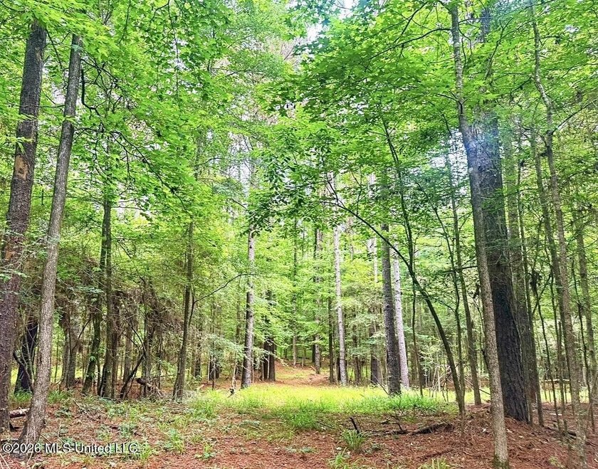 This 93+/- acre Holmes County property is uniquely laid out in - photo 14
