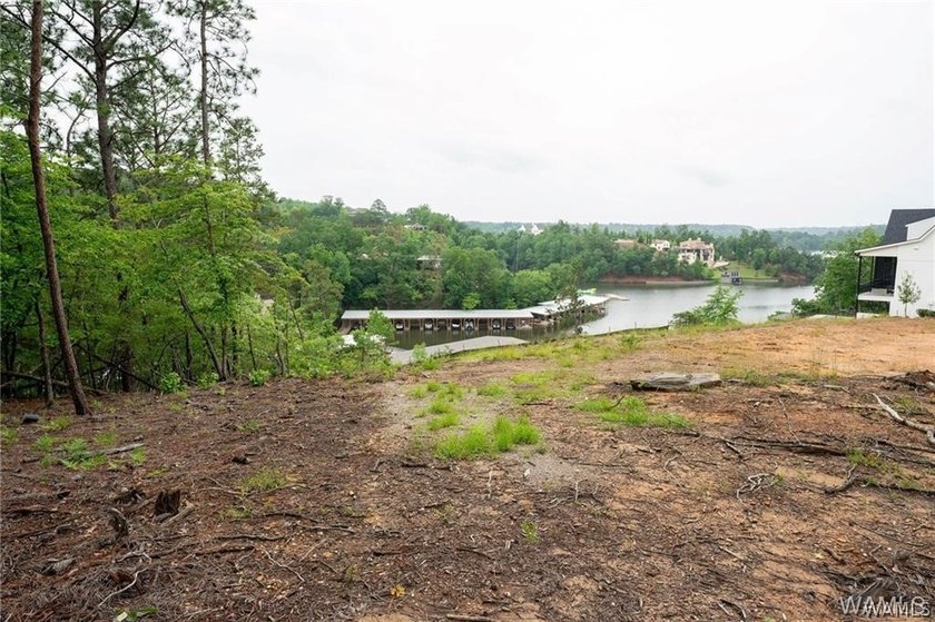 Build your dream home on this stunning 1.10-acre waterfront lot - photo 4