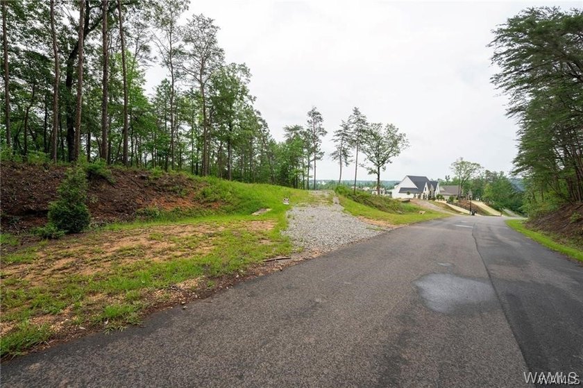 Build your dream home on this stunning 1.10-acre waterfront lot - photo 6