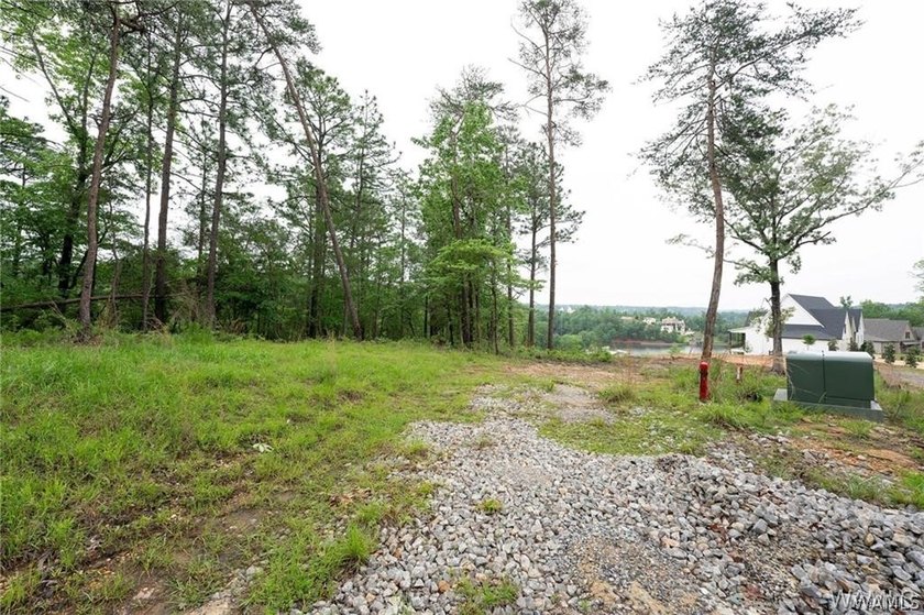 Build your dream home on this stunning 1.10-acre waterfront lot - photo 7