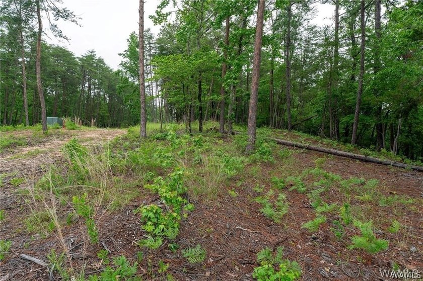 Build your dream home on this stunning 1.10-acre waterfront lot - photo 9