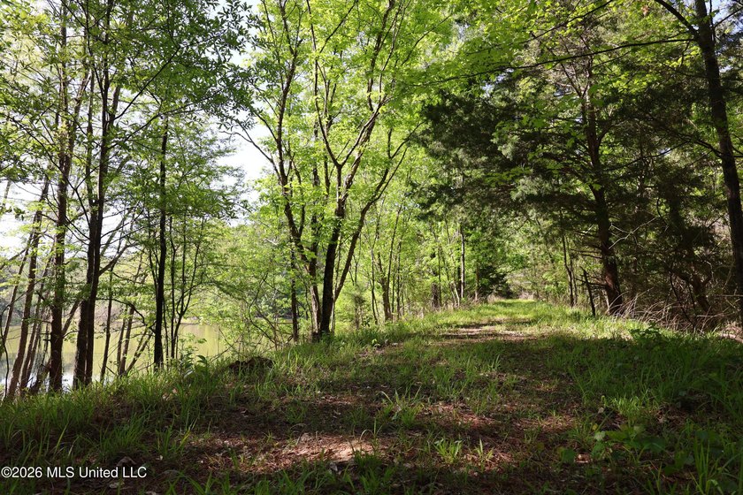 Nestled in the heart of Claiborne County, this exceptional - photo 19