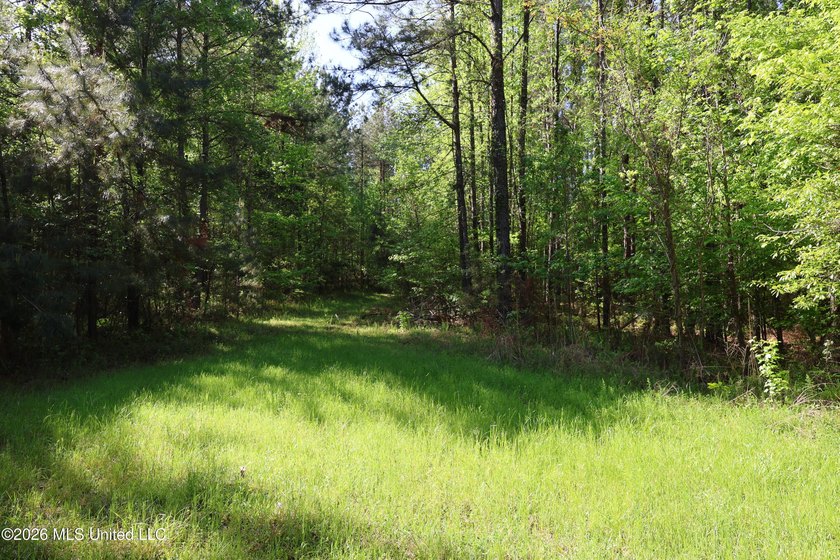 Nestled in the heart of Claiborne County, this exceptional - photo 20