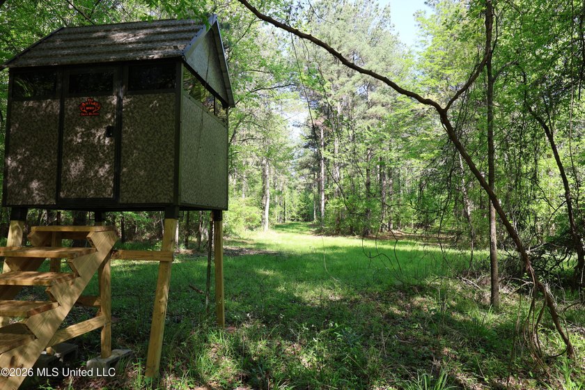 Nestled in the heart of Claiborne County, this exceptional - photo 23