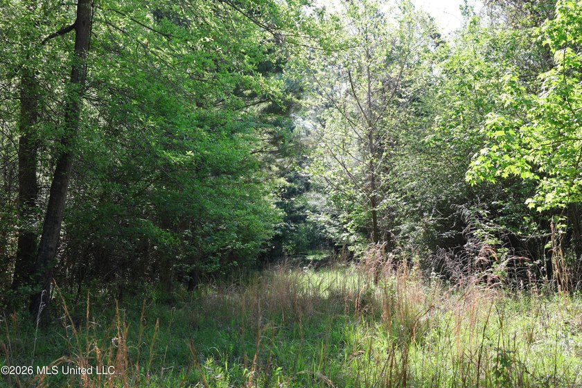 Nestled in the heart of Claiborne County, this exceptional - photo 24