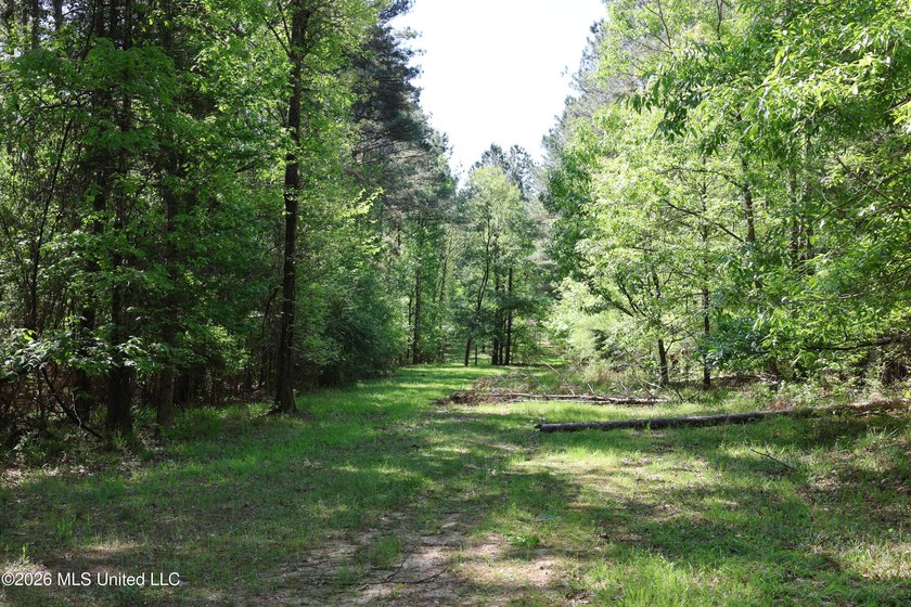 Nestled in the heart of Claiborne County, this exceptional - photo 25