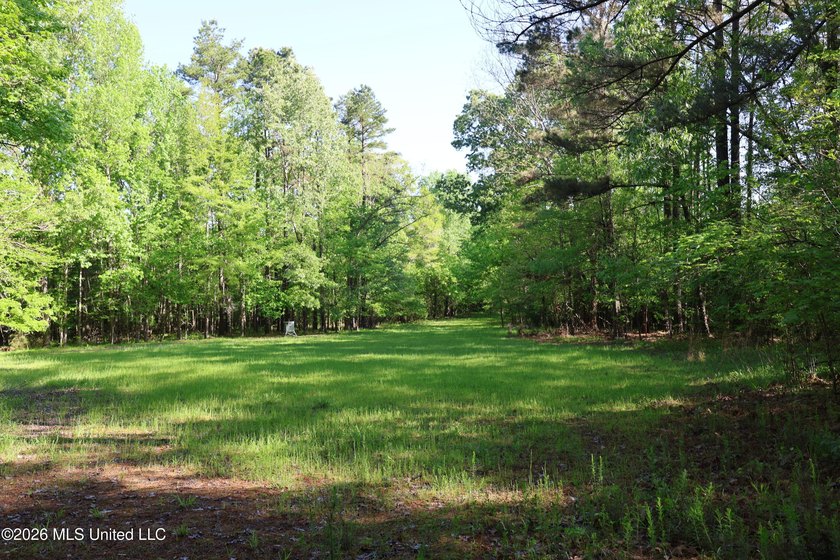 Nestled in the heart of Claiborne County, this exceptional - photo 26