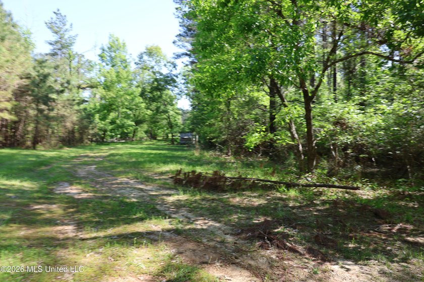 Nestled in the heart of Claiborne County, this exceptional - photo 27