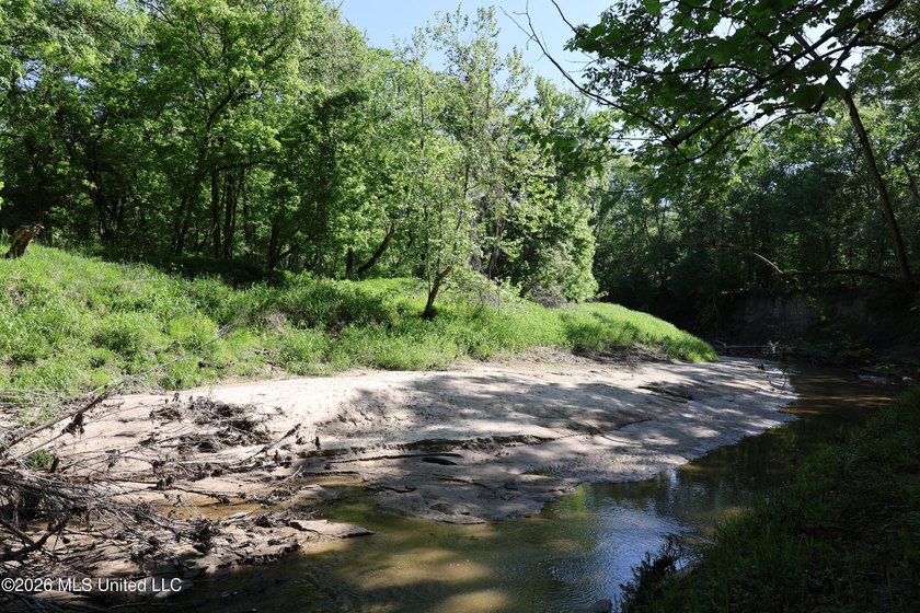 Nestled in the heart of Claiborne County, this exceptional - photo 29