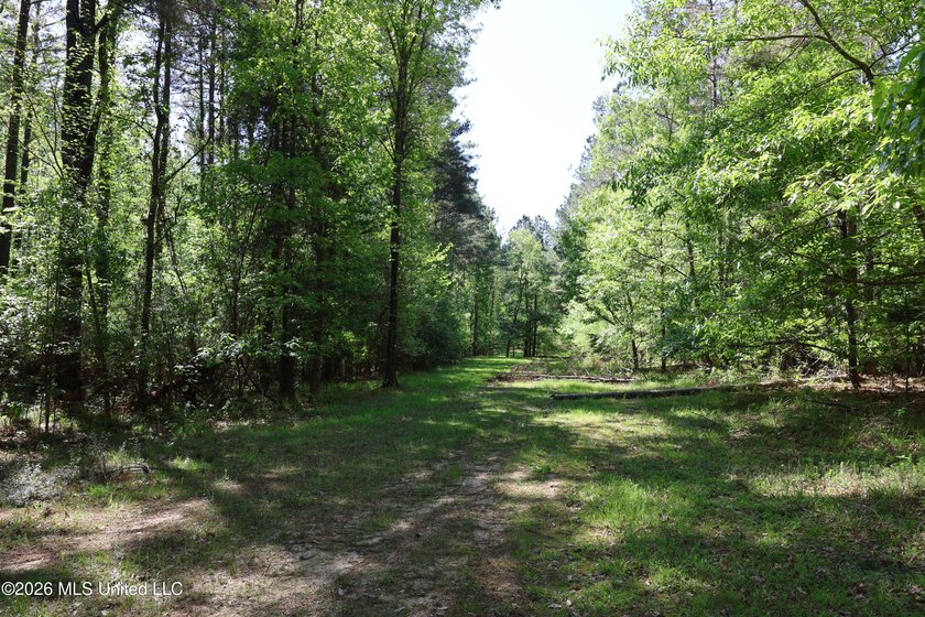 Nestled in the heart of Claiborne County, this exceptional - photo 33