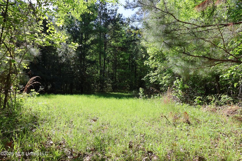 Nestled in the heart of Claiborne County, this exceptional - photo 34