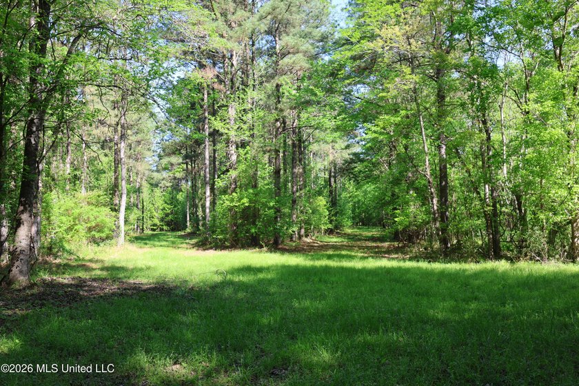 Nestled in the heart of Claiborne County, this exceptional - photo 35