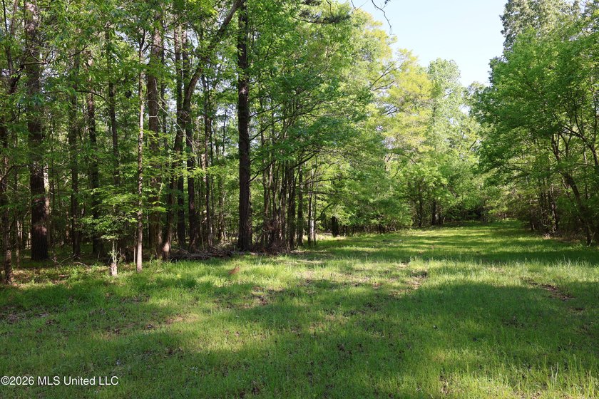 Nestled in the heart of Claiborne County, this exceptional - photo 40