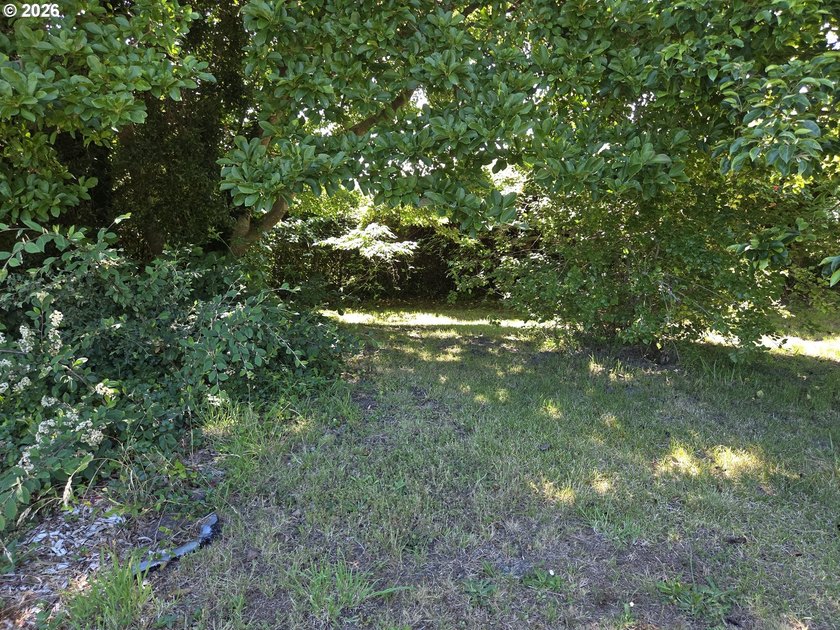 Prime 1.41-acre commercially zoned opportunity on the beautiful - photo 20