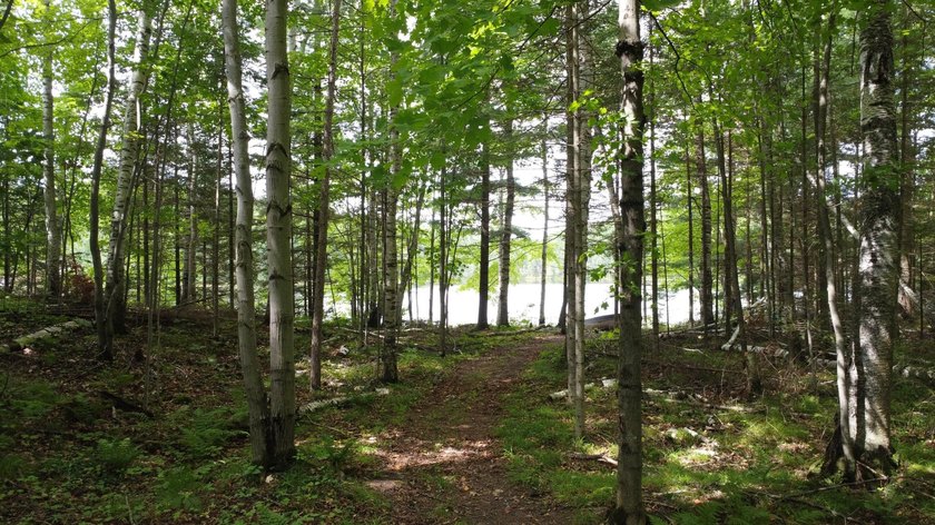Enjoy year-round living on your 1.5 acres including 160 feet of - photo 14