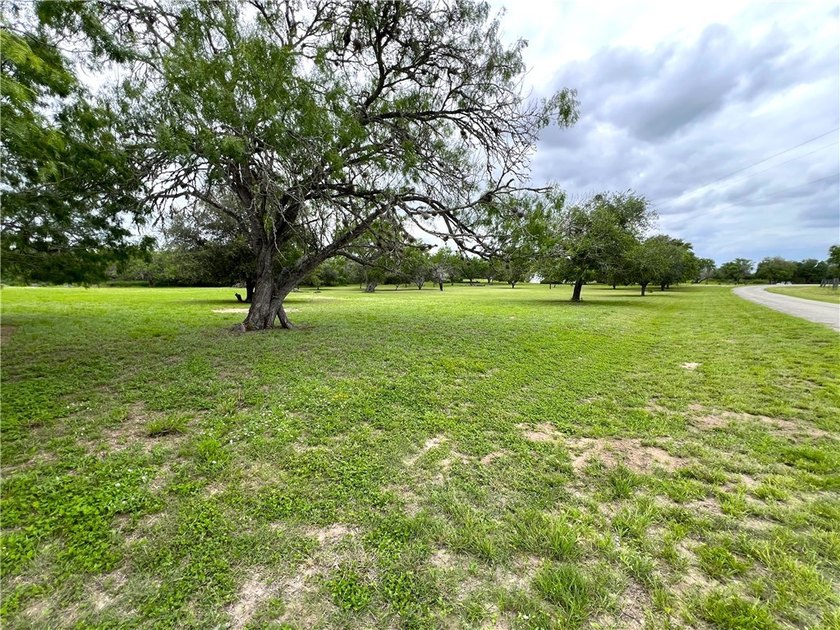 Embrace the natural scenic wildlife of country living on this - photo 6