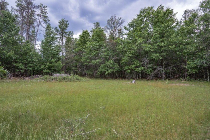 Spacious home on 5 private, quiet acres near Castle Rock Lake - photo 20