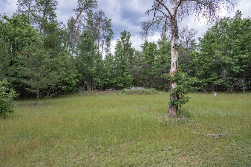 Spacious home on 5 private, quiet acres near Castle Rock Lake - photo 21