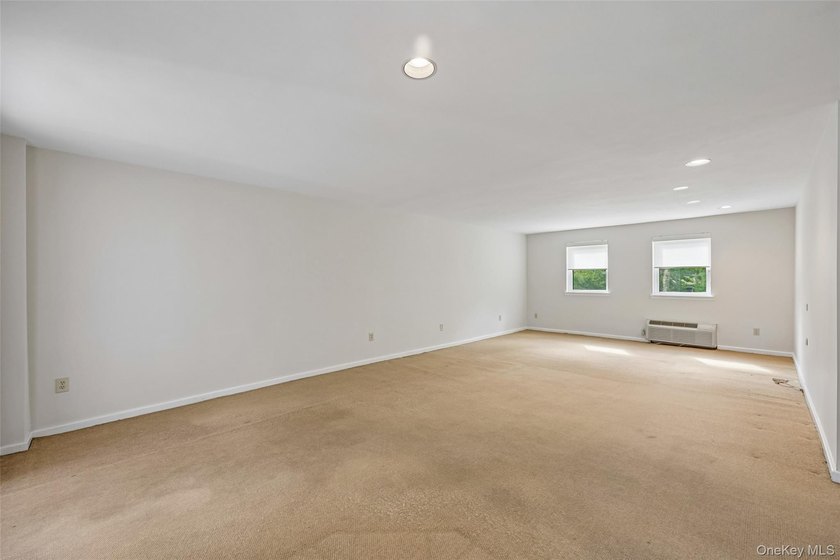 1331 Broadway unit P 10/11, a sunny and spacious first floor - photo 20