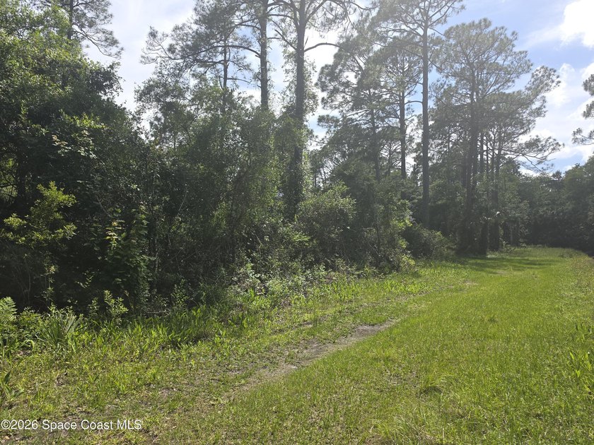 Beautiful 1.19-acre wooded lot located on a quiet dirt road - photo 5